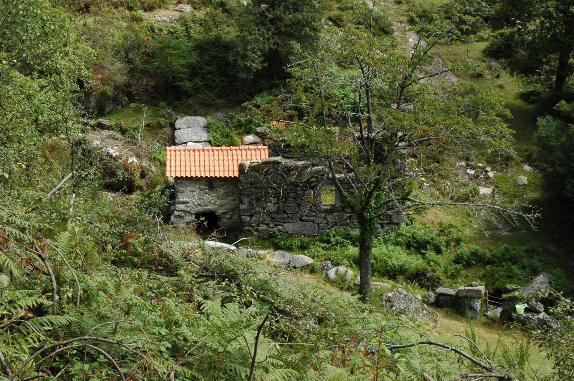 Pensjonat Casa De Campo Monte Abades Terras de Bouro Zewnętrze zdjęcie